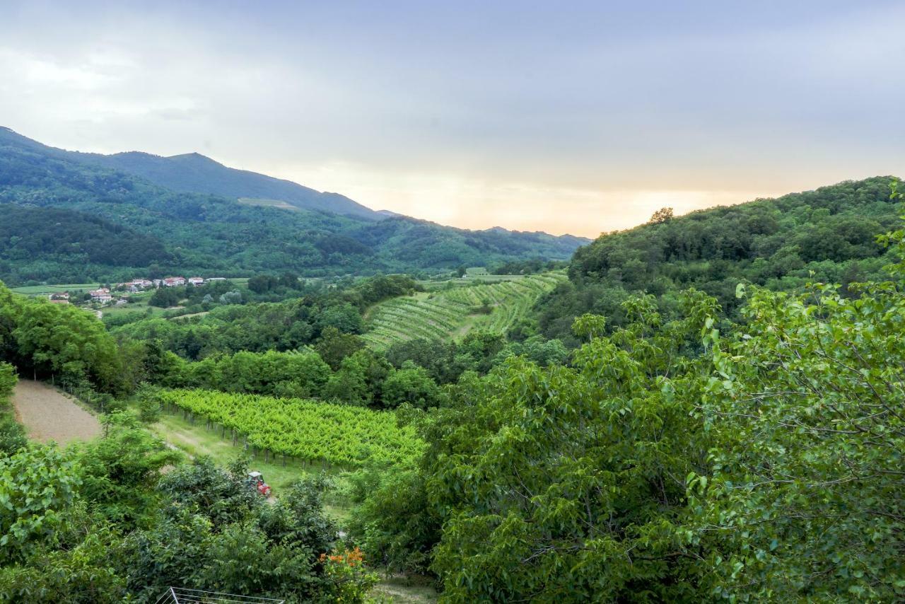 Cebron Family Estate Hotel Branik Ngoại thất bức ảnh